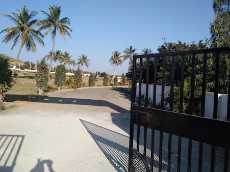 Google Maps image 16