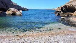 Calanque de Podestat'in fotoğrafı vahşi alan