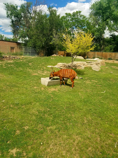 Zoo «Denver Zoo», reviews and photos, 2300 Steele St, Denver, CO 80205, USA