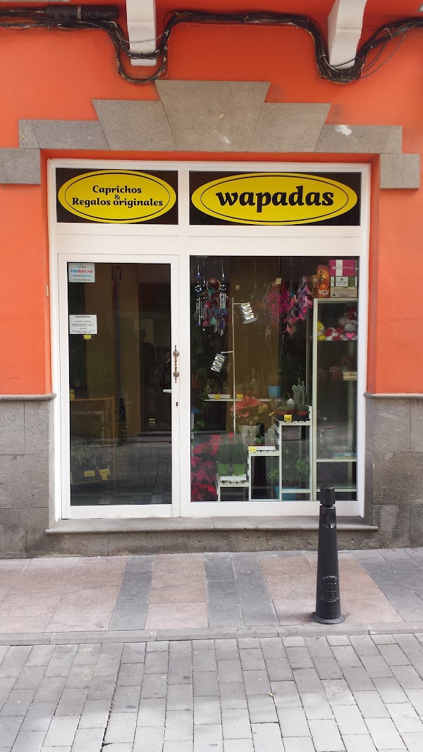 Wapadas