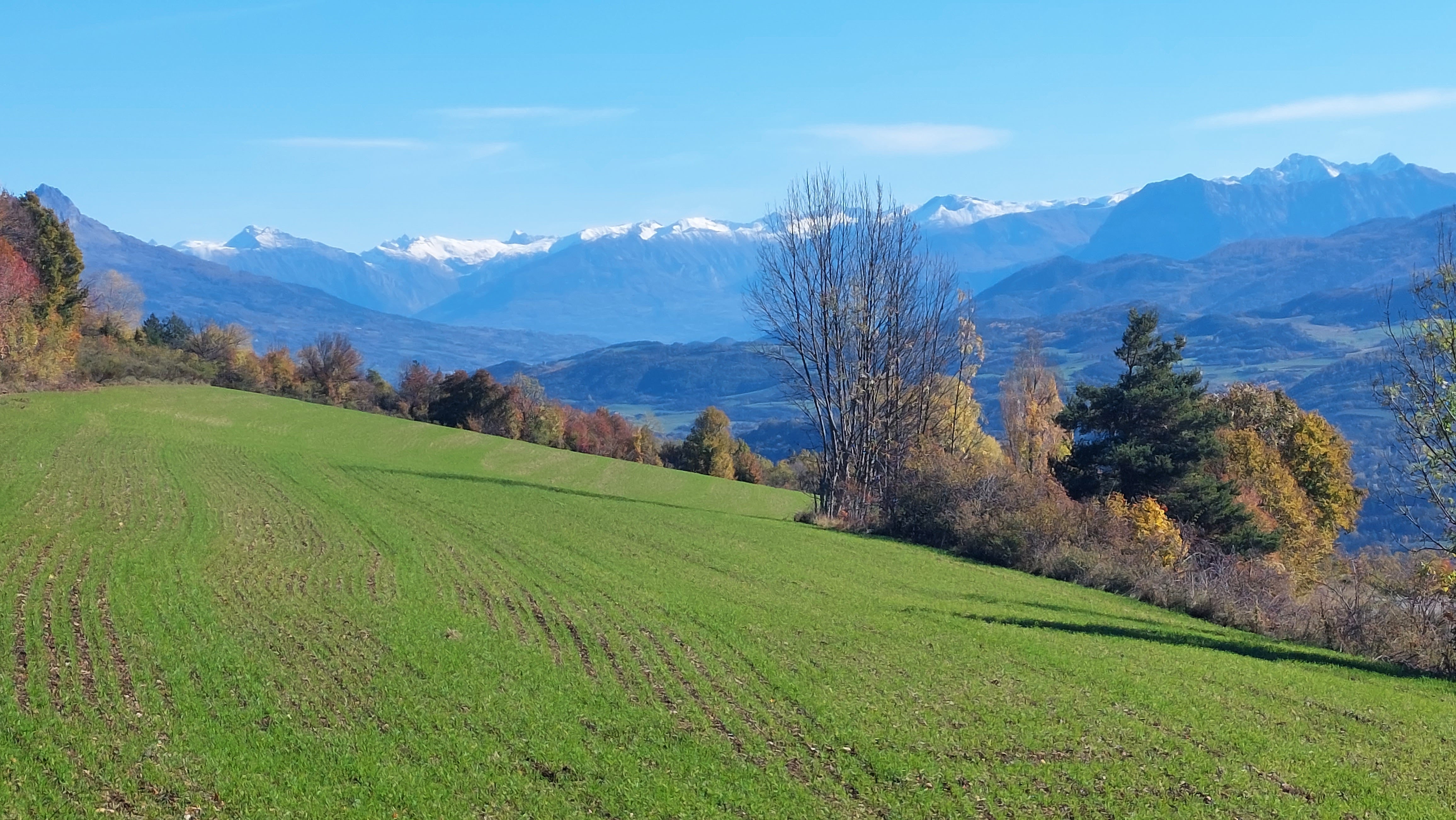 Photo n° 13 de l'avis de Didier.a fait le 18/11/2022 à 16:48