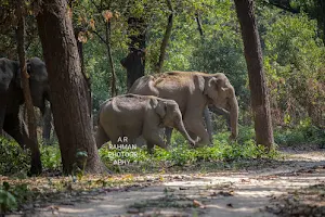 Amangarh Tiger Reserve image