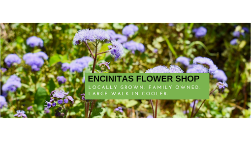 Encinitas Flower Shop, 1544 S El Camino Real, Encinitas, CA 92024, USA, 