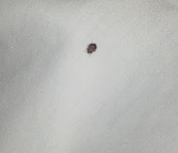 Hotel Del Marqués photo