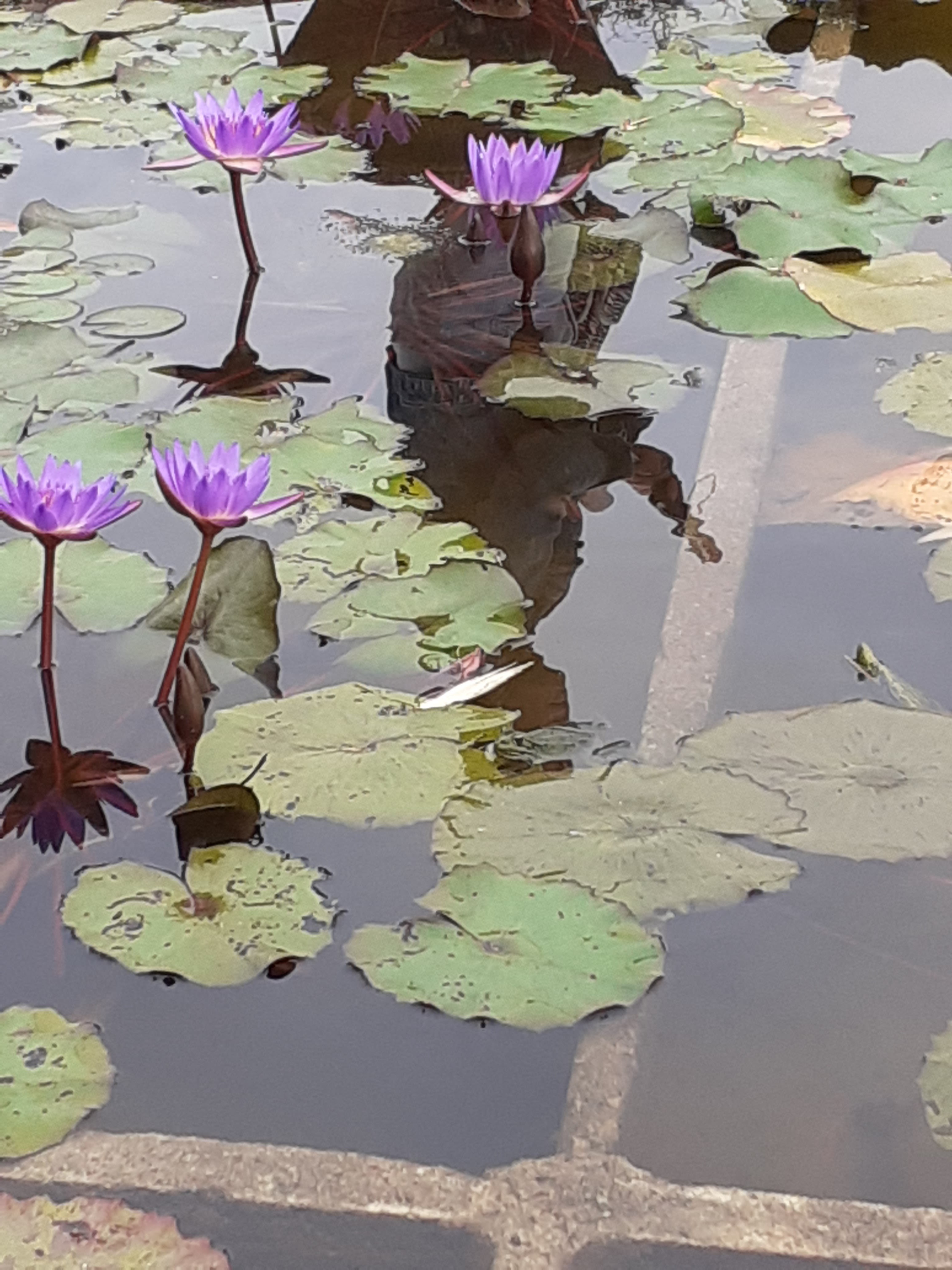 Photo n° 1 de l'avis de vanessa.e fait le 06/07/2021 à 20:45