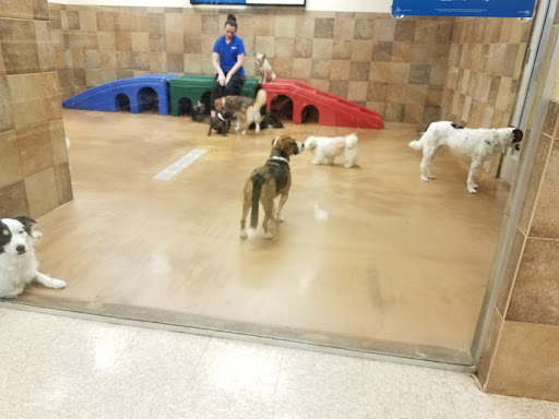 Pet Supply Store «PetSmart», reviews and photos, 5722 Fairmont Pkwy, Pasadena, TX 77505, USA