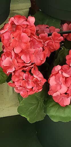 Craft Store «Michaels», reviews and photos, 10788 E Foothill Blvd #103, Rancho Cucamonga, CA 91730, USA