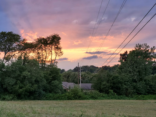 Department Store «Walmart Supercenter», reviews and photos, 1550 Nashville Rd, Franklin, KY 42134, USA
