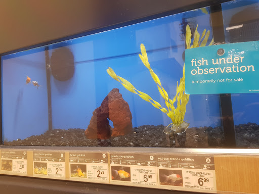 Pet Supply Store «Petco Animal Supplies», reviews and photos, 1591 Sloat Blvd, San Francisco, CA 94132, USA