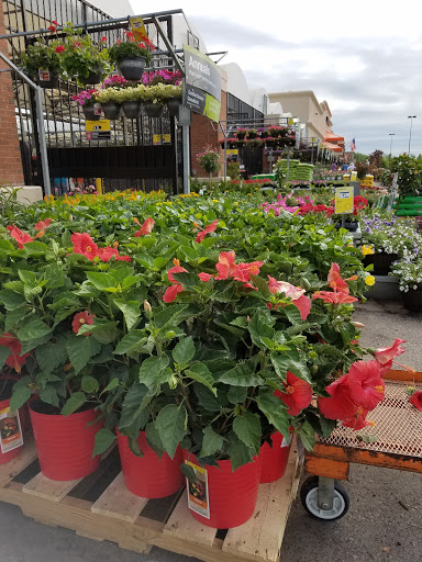 Home Improvement Store «The Home Depot», reviews and photos, 8101 Moores Ln, Brentwood, TN 37027, USA