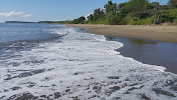 Foto di Ojo de Agua Beach ubicato in zona naturale