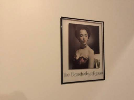 Dance School «Tease Dance & Fitness», reviews and photos, 4222 Meridian Pkwy, Aurora, IL 60504, USA