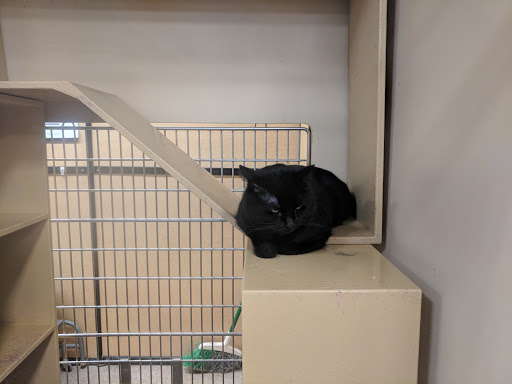 Pet Supply Store «PetSmart», reviews and photos, 5748 S Redwood Rd, Taylorsville, UT 84123, USA