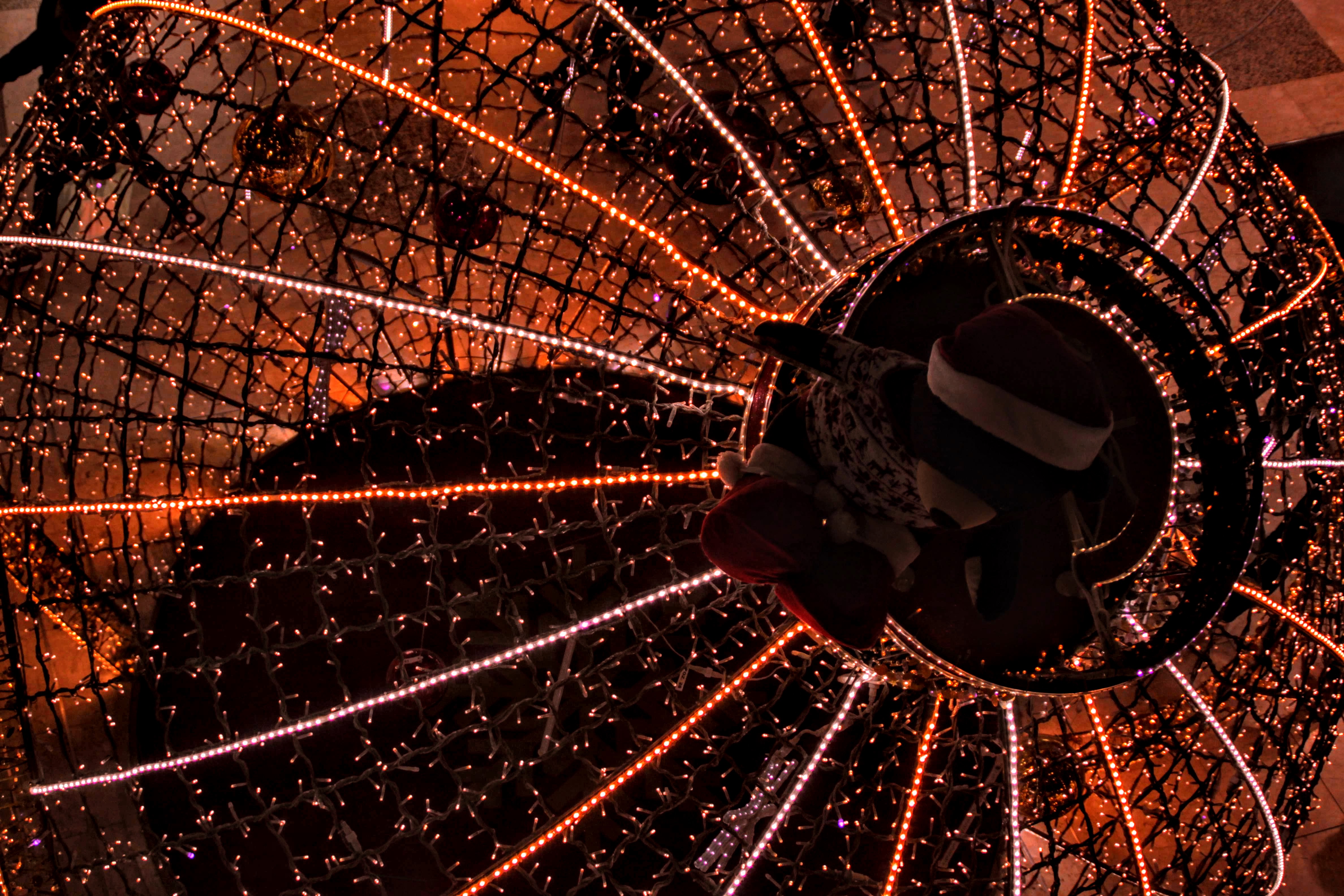 Photo n° 28 de l'avis de Patrick.a fait le 22/12/2018 à 22:49