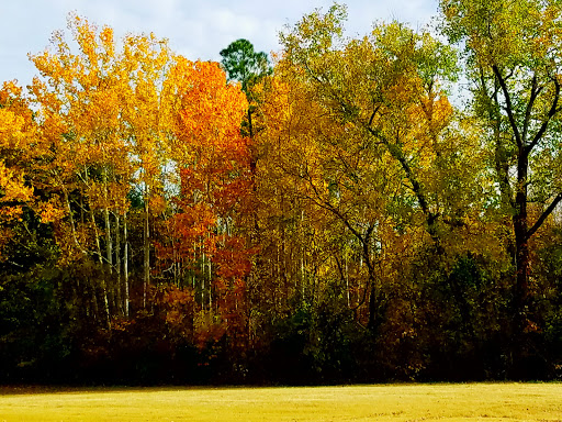 Park «California Crossing Park», reviews and photos, 5198 Riverside Dr, Irving, TX 75039, USA