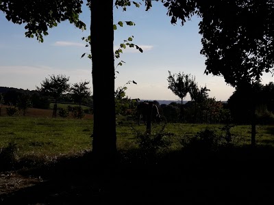 Photos of groepsaccommodatie Hoeve de Peul