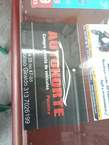 Calzado Collection GARRAS