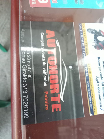 Calzado Collection GARRAS