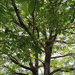 Photo n°1 de l'avis de leth.t fait le 08/07/2023 à 12:39 sur le  Trattoria Il Casale La Foce à Trevi nel Lazio