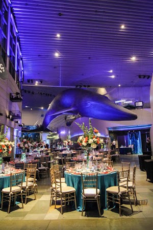 Aquarium of the Pacific - photo 71