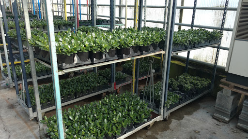 Garden Center «Blooms at Belle Mead», reviews and photos, 1980 US-206, Belle Mead, NJ 08502, USA