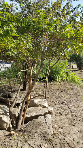 Museum «Lewis & Clark Boat House», reviews and photos, 1050 S Riverside Dr, St Charles, MO 63301, USA