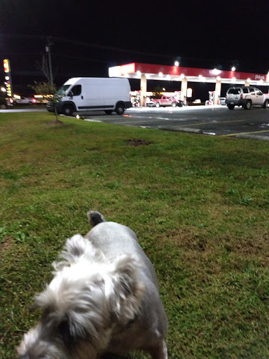 Convenience Store «Pilot Travel Center», reviews and photos, 6721 Emmaus Church Rd, Providence Forge, VA 23140, USA