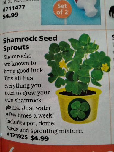 Cosmetics Store «A & A Beauty Supply», reviews and photos, 1371 Copley Rd, Akron, OH 44320, USA