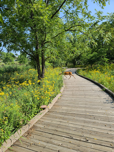 Bird Watching Area «Coffee Creek Watershed Preserve», reviews and photos, 2401 Village Point, Chesterton, IN 46304, USA