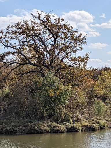 Golf Course «Oakmont Country Club», reviews and photos, 1200 Clubhouse Dr, Corinth, TX 76210, USA