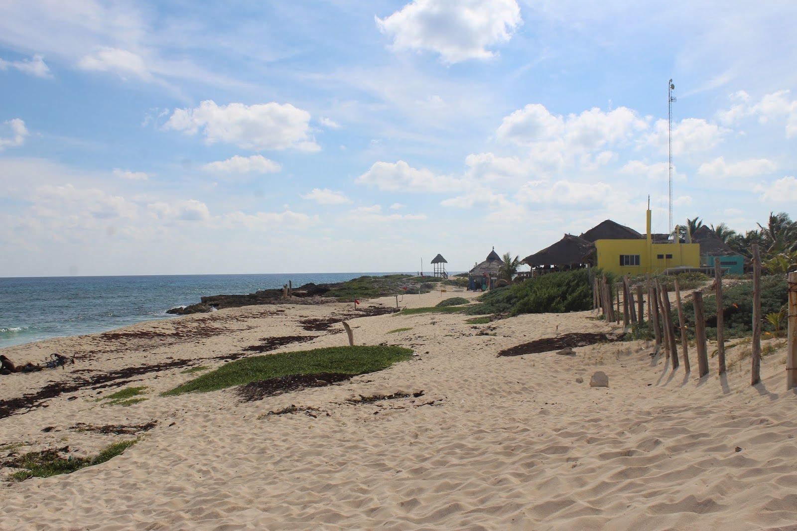 Playa Punta Morena photo #9