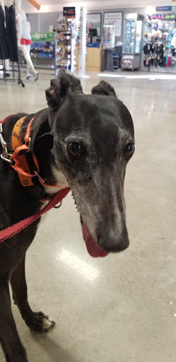 Running Store «Road Runner Sports», reviews and photos, 1125 Industrial Rd d, San Carlos, CA 94070, USA