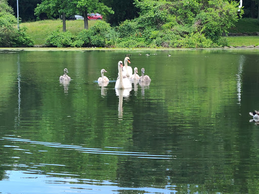 Golf Course «Van Cortlandt Park Golf Course», reviews and photos, 115 Van Cortlandt Park S, Bronx, NY 10471, USA