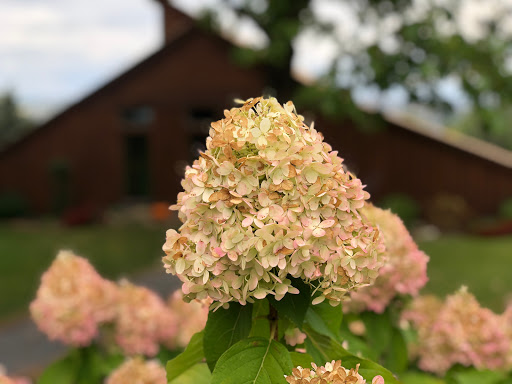 Tour Agency «Experience! The Finger Lakes», reviews and photos, 501 Warren Rd, Ithaca, NY 14850, USA