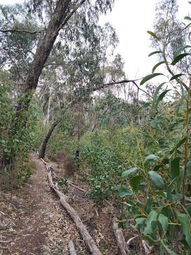 Roachdale Reserve Nature Trail