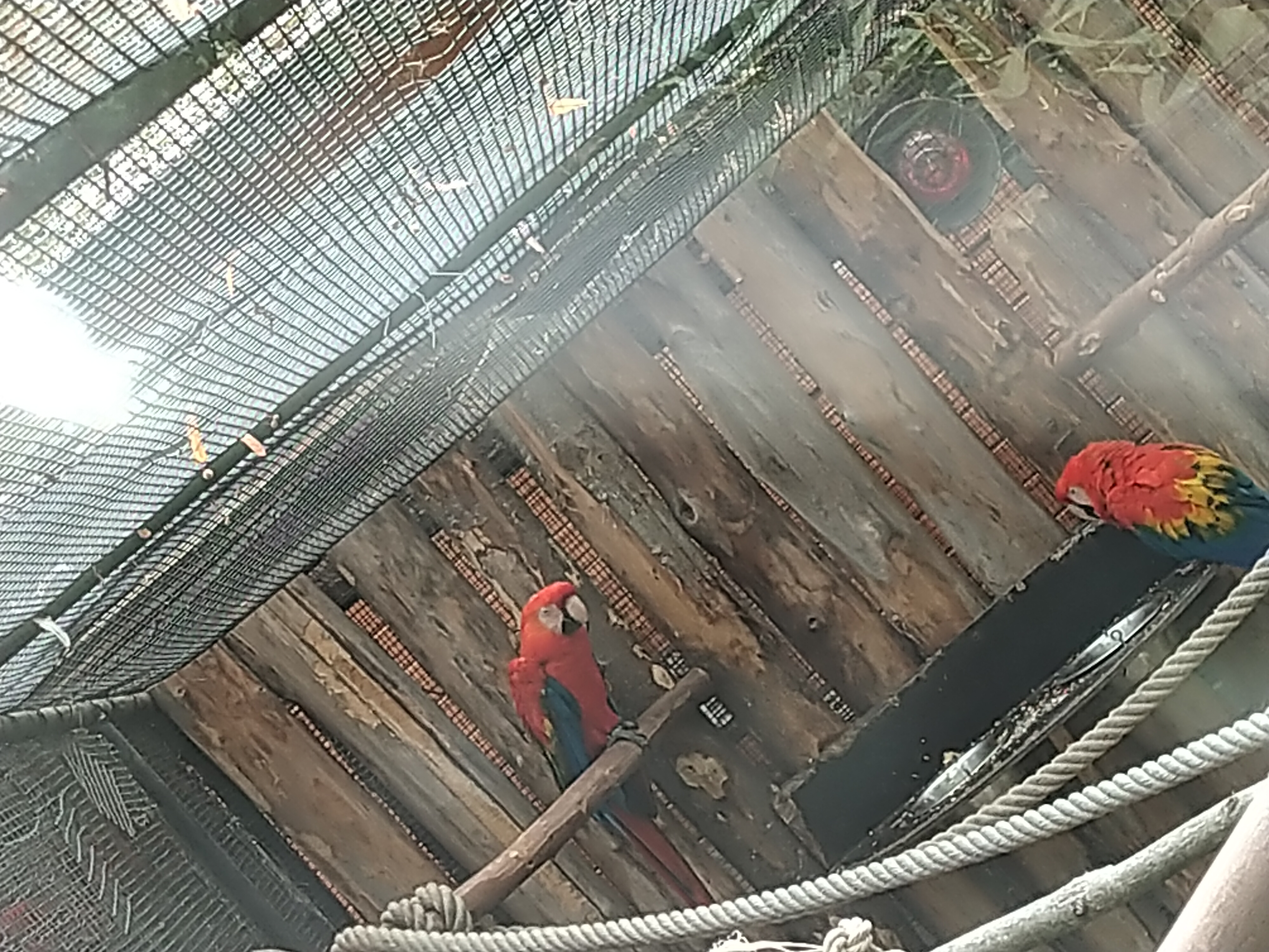 Photo n° 6 de l'avis de HardLoSeDa. fait le 15/08/2019 à 14:36