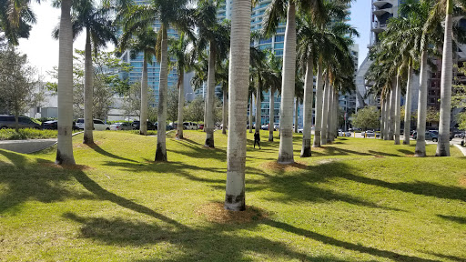 Park «Museum Park», reviews and photos, 1075 Biscayne Blvd, Miami, FL 33132, USA