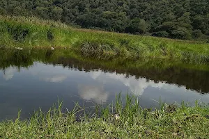 Lake Nkunga image