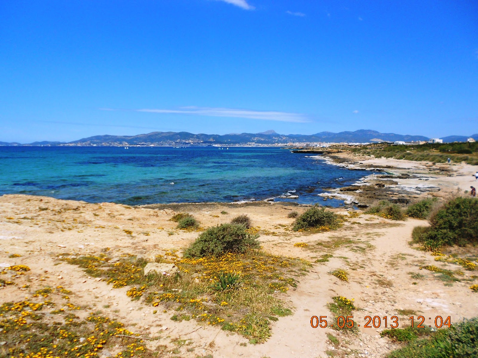Playa de Son Caios'in fotoğrafı vahşi alan