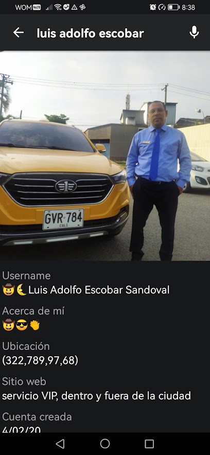 taxis ejecutivo, y empresarial