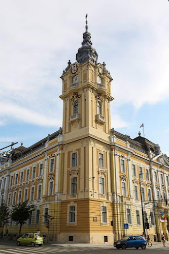 CAR Consiliul Local Cluj-Napoca