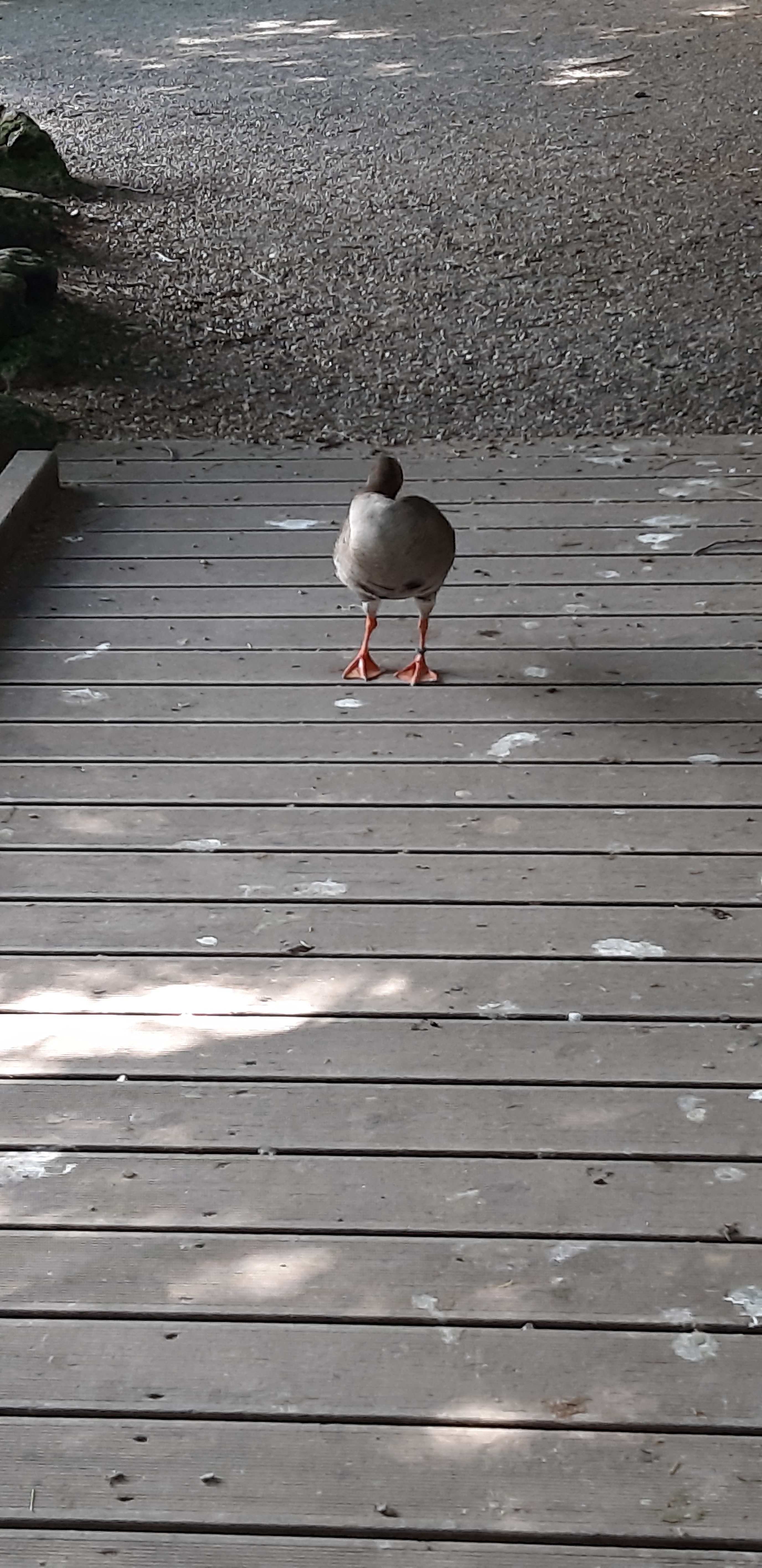 Photo n° 5 de l'avis de Jean.u fait le 30/06/2023 à 14:12