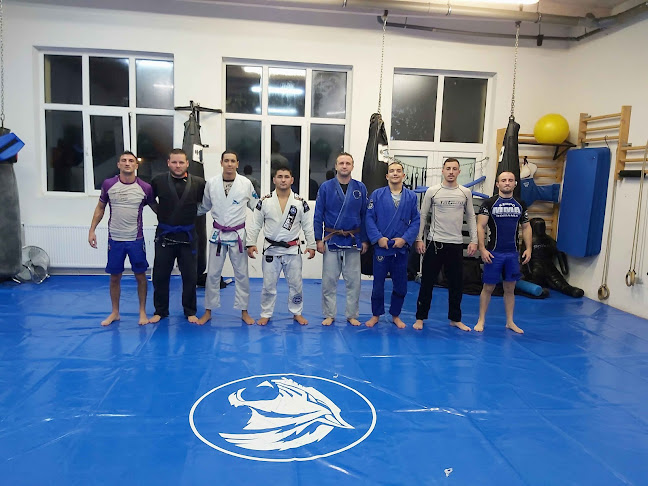Opinii despre (BJJ)Brazilian Power Team (BPT) Romania Cluj-Napoca Jiu Jitsu Academy în <nil> - Sala de Fitness