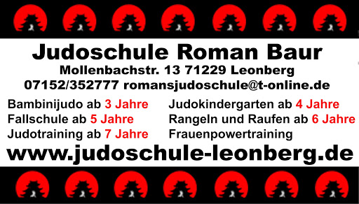 Judoschule Leonberg Roman Baur