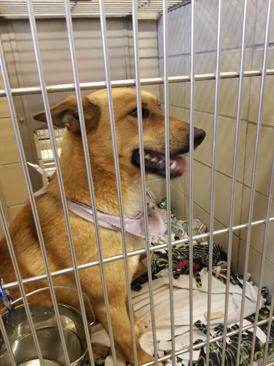 Humane Indiana Shelter and Adoption Center