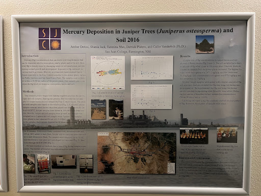 Community College «San Juan College», reviews and photos