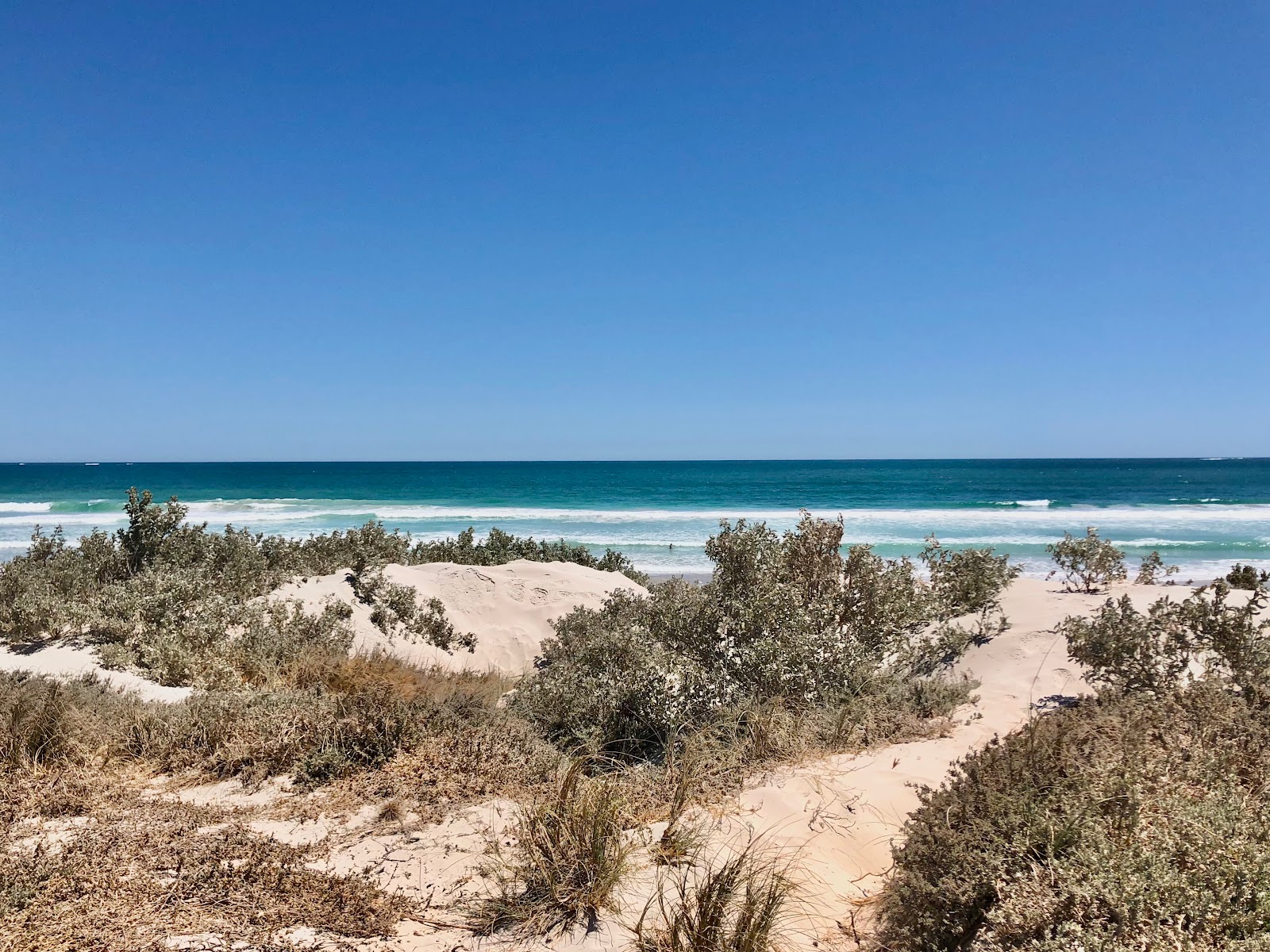 Photo de Tarcoola Beach et le règlement