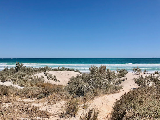 Tarcoola Beach