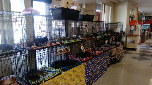 Pet Supply Store «Petco Animal Supplies», reviews and photos, 32391 Camino Capistrano a, San Juan Capistrano, CA 92675, USA