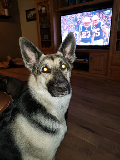 Pet Store «Pet Valu», reviews and photos, 604 Plaza Dr, Newark, DE 19702, USA